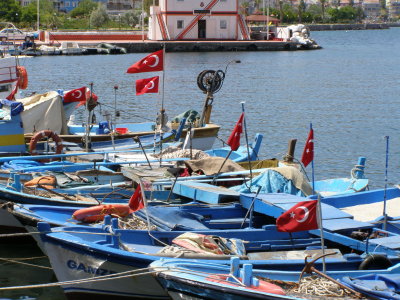 Lots of Turkish flags