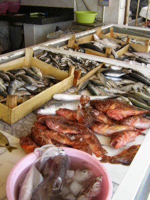 At the Dikili fish market--some were still wriggling