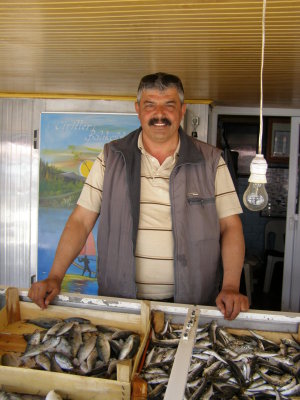 The fish merchant