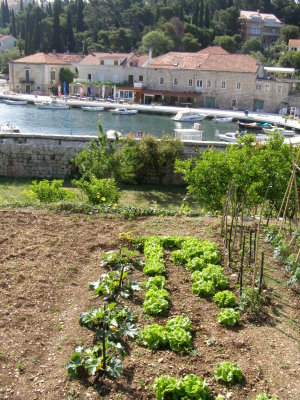 Vegetable garden overlooking the smaller harbor