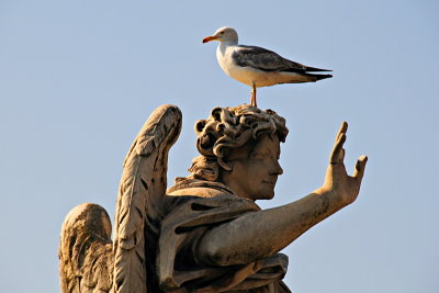 91 ROME, Castel St Angelo statue