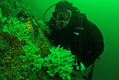 1440.2   Diver and sponge, Mozino Point