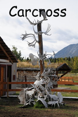 40 Carcross, Yukon (Cariboo Crossing)