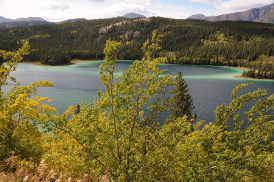 42 Carcross area