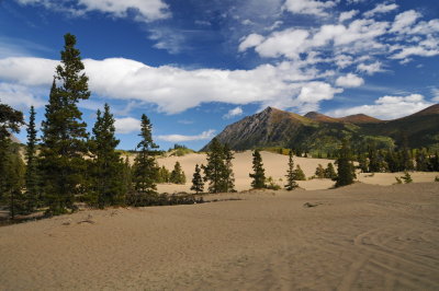 44 Carcross Desert