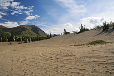 45 Carcross Desert