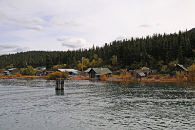 52 Carcross, gold miners' cabins