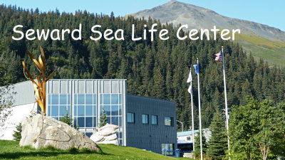 111 Seward Sea Life Center