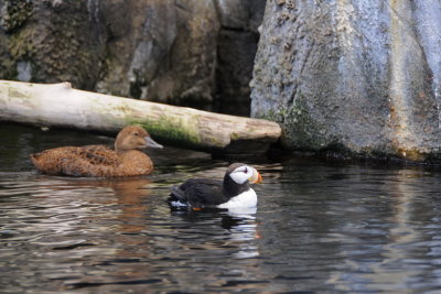 114 Seward Sea Life Center