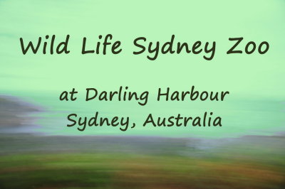 20 Sydney Zoo