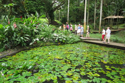 123 Lautoka, Raymond Burr's Orchid Garden