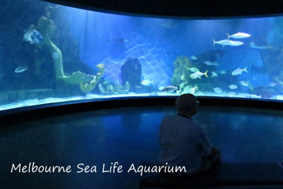 154 Melbourne, Sea Life Aquarium