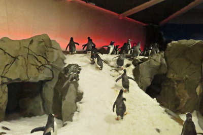 161 Melbourne, Sea Life Aquarium