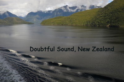 194 Doubtful Sound, NZ