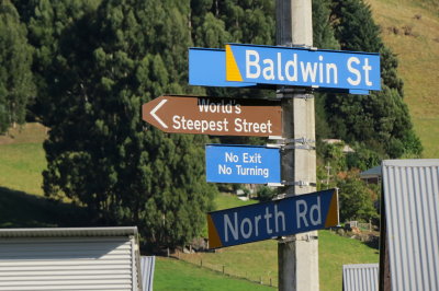 208 Dunedin, steepest street