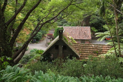 248 Wellington Botanic Garden