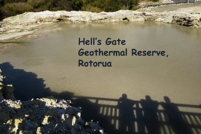 299 Rotorua, Hell's Gate Geothermal Reserve