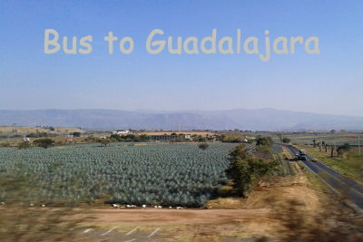 19 Bus to Guadalajara