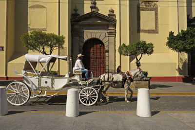 24 Guadalajara, horse and carriage