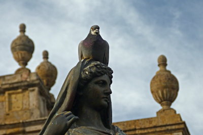 31 Guadalajara Basilica, statue and pigeon