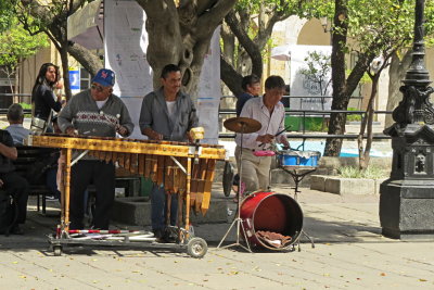 113 Guadalajara, street music