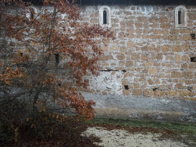 DSCF5918.jpg