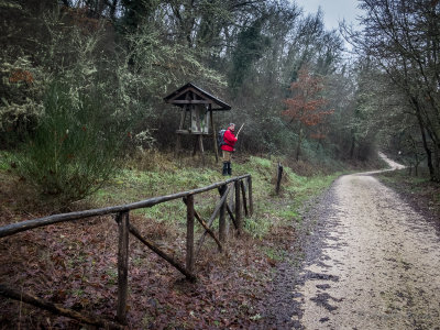  Monte Casoli e Selva di Malano