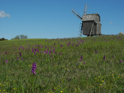 g9/78/840478/3/153180668.MRnPdviB.jpg