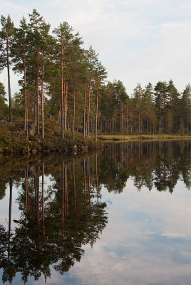 Bergslagstjrn.