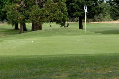 No birdies, 4 pars.