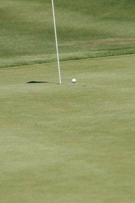 Cameron Champ 204