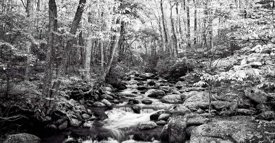 River_Panorama.jpg