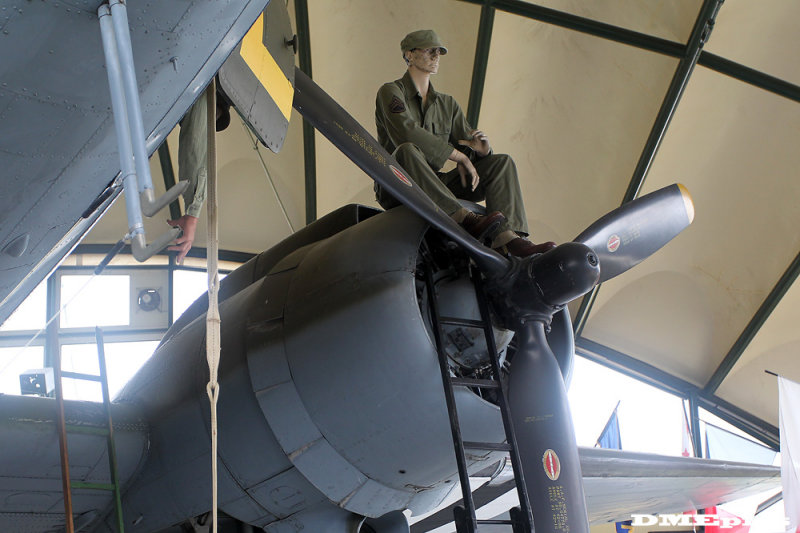 k1374.jpg