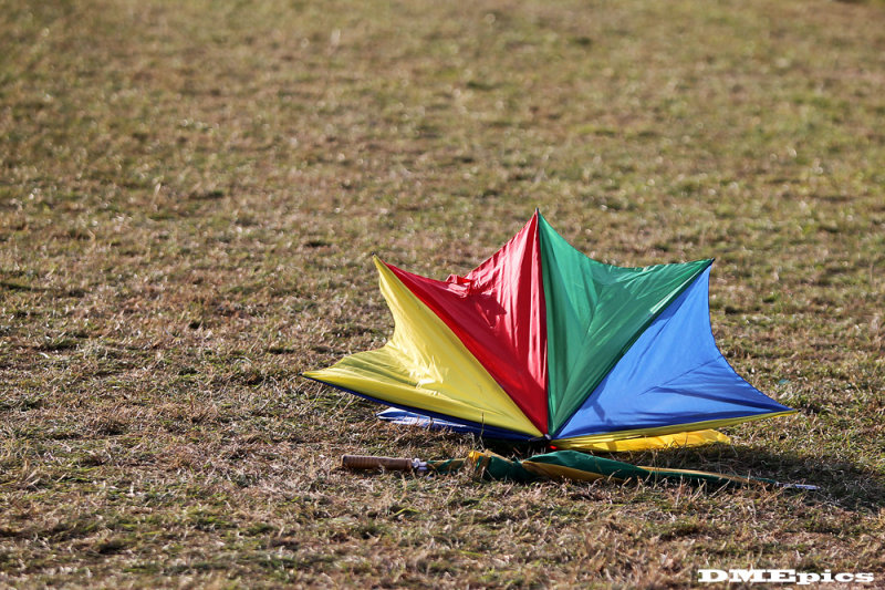 c9036.jpg