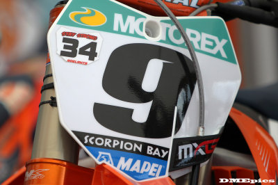 k8208.jpg