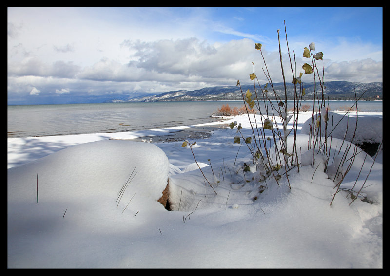 Snow at the Beach