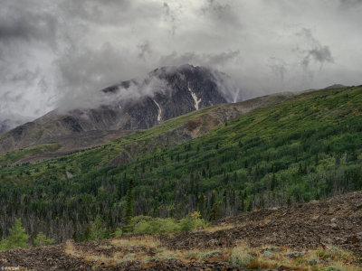 Kluane