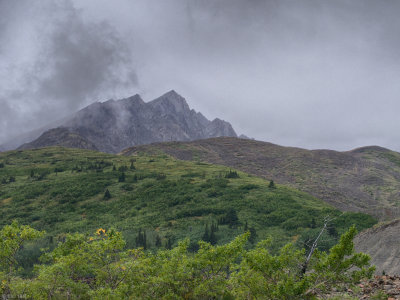 Kluane