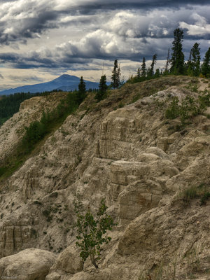 Whitehorse