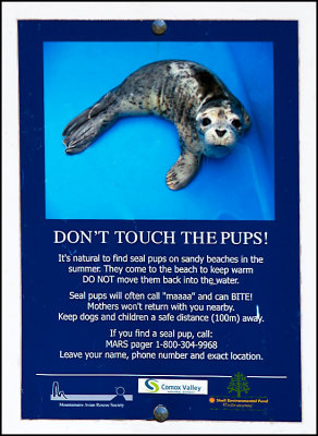 Seal Pup Sign
