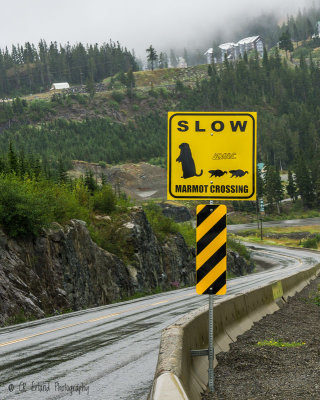 Caution Endangered Species Sign