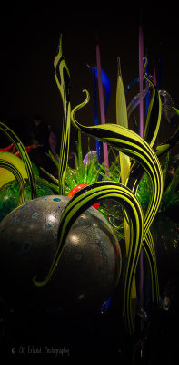 Chihuly Garden and Glass Museum 2015