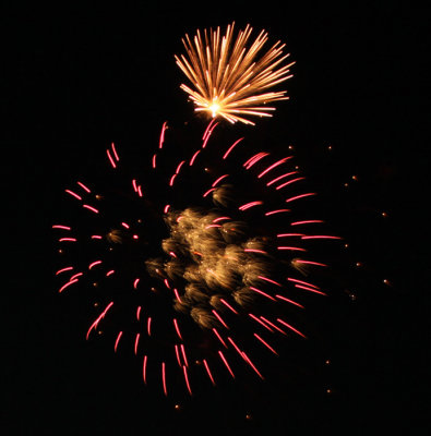 IMG_5425a.jpg