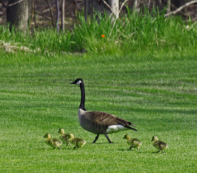 MOTHER ON MOTHER'S DAY
