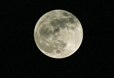 BEAUTIFUL MOON