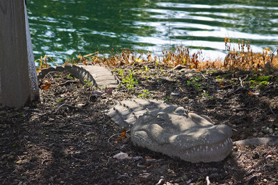 THIS ONE DOES NOT BITE!  WHERE IN HUDSON??