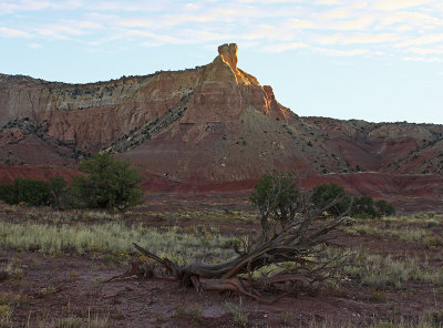 CHIMNEY ROCK AND TREE