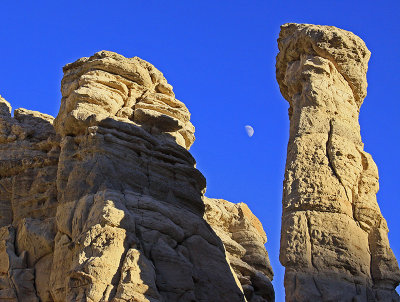 MOON RISING OVER NEW MEXICO