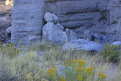 STONE COUPLE RESTING