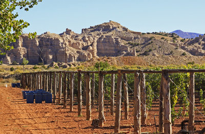 WINERY